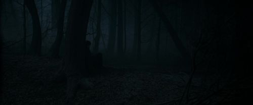 RdM1-Potterish9684.jpg