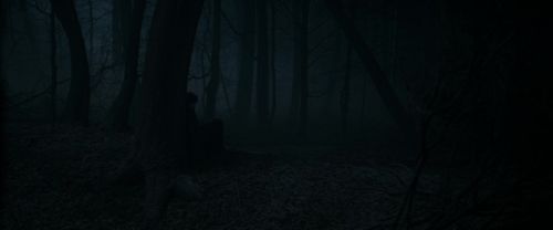 RdM1-Potterish9685.jpg