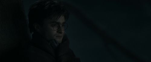 RdM1-Potterish9688.jpg