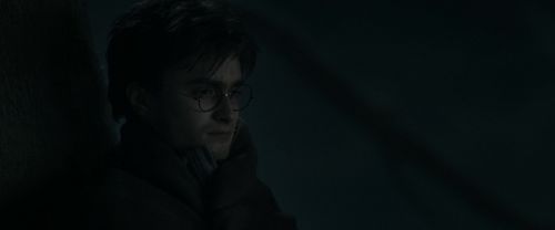 RdM1-Potterish9691.jpg
