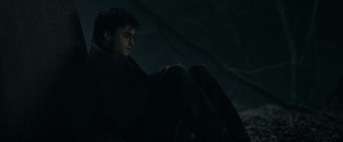 RdM1-Potterish9711.jpg