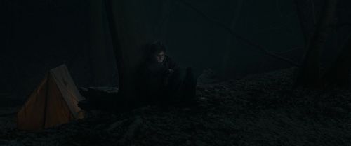 RdM1-Potterish9723.jpg