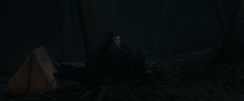 RdM1-Potterish9731.jpg