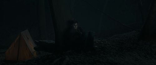 RdM1-Potterish9732.jpg