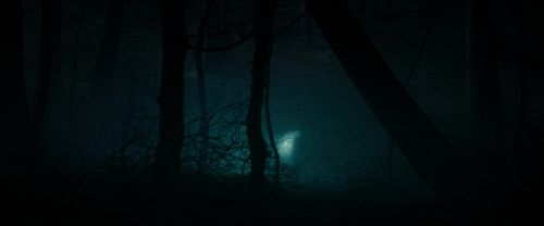 Click to view full size image
==============
RdM1-Potterish9757.jpg RdM1-Potterish9757.jpg