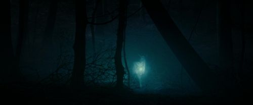 Click to view full size image
==============
RdM1-Potterish9761.jpg RdM1-Potterish9761.jpg