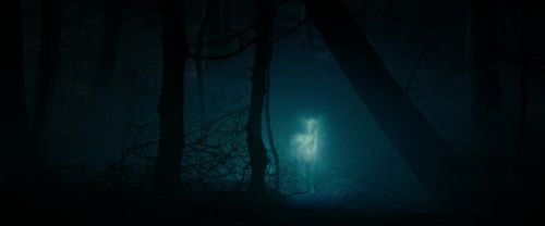 Click to view full size image
==============
RdM1-Potterish9765.jpg RdM1-Potterish9765.jpg