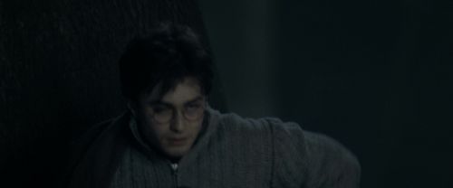 RdM1-Potterish9771.jpg
