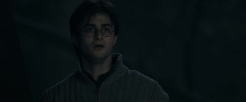 RdM1-Potterish9784.jpg