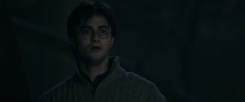 RdM1-Potterish9785.jpg