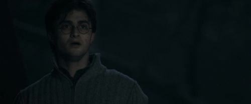 RdM1-Potterish9787.jpg