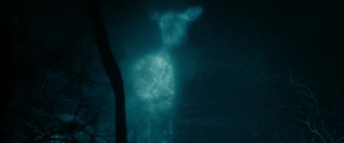 Click to view full size image
==============
RdM1-Potterish9789.jpg RdM1-Potterish9789.jpg