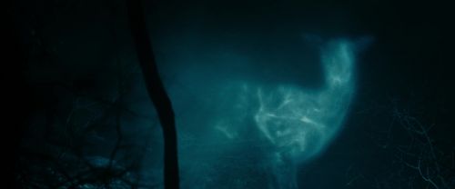 Click to view full size image
==============
RdM1-Potterish9792.jpg RdM1-Potterish9792.jpg
