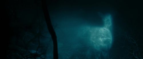 Click to view full size image
==============
RdM1-Potterish9793.jpg RdM1-Potterish9793.jpg