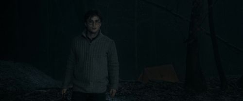 RdM1-Potterish9798.jpg