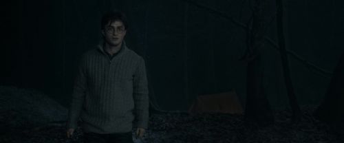 RdM1-Potterish9799.jpg