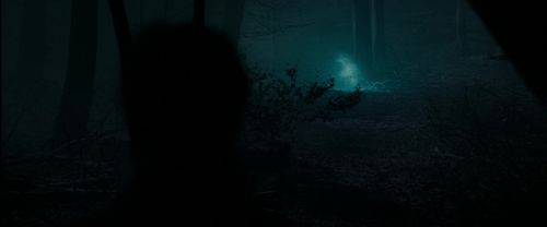 RdM1-Potterish9801.jpg