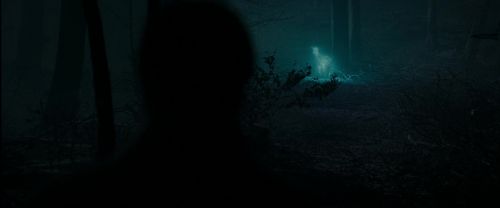 Click to view full size image
==============
RdM1-Potterish9802.jpg RdM1-Potterish9802.jpg