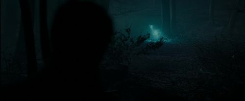 Click to view full size image
==============
RdM1-Potterish9803.jpg RdM1-Potterish9803.jpg