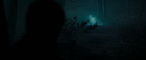 Click to view full size image
==============
RdM1-Potterish9804.jpg RdM1-Potterish9804.jpg