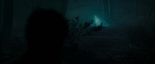 Click to view full size image
==============
RdM1-Potterish9805.jpg RdM1-Potterish9805.jpg