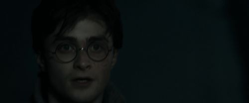 RdM1-Potterish9810.jpg