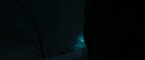 RdM1-Potterish9812.jpg