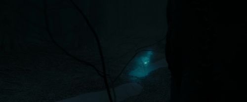 RdM1-Potterish9813.jpg