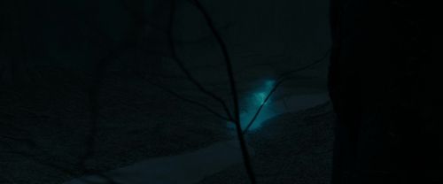 RdM1-Potterish9814.jpg