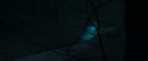 RdM1-Potterish9815.jpg