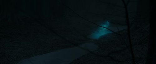 RdM1-Potterish9816.jpg