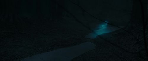 RdM1-Potterish9817.jpg