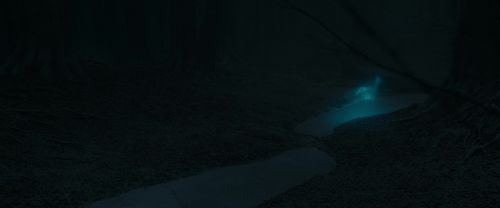 Click to view full size image
==============
RdM1-Potterish9818.jpg RdM1-Potterish9818.jpg
