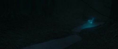 RdM1-Potterish9819.jpg