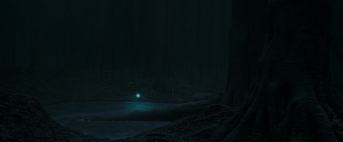 RdM1-Potterish9829.jpg
