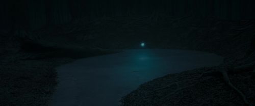 RdM1-Potterish9832.jpg