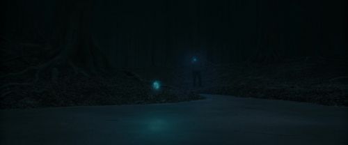 RdM1-Potterish9835.jpg
