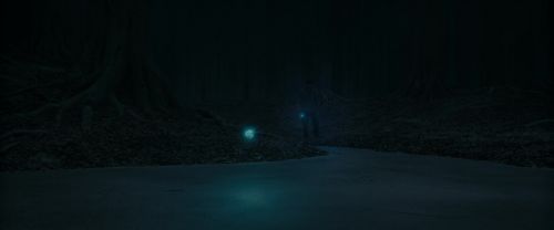 RdM1-Potterish9842.jpg