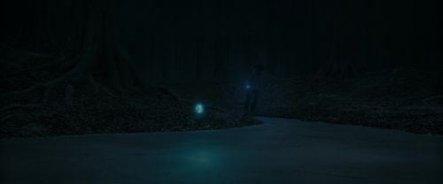 Click to view full size image
==============
RdM1-Potterish9846.jpg RdM1-Potterish9846.jpg