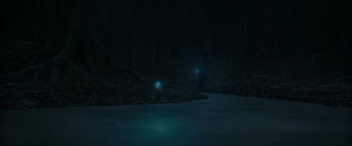 RdM1-Potterish9848.jpg