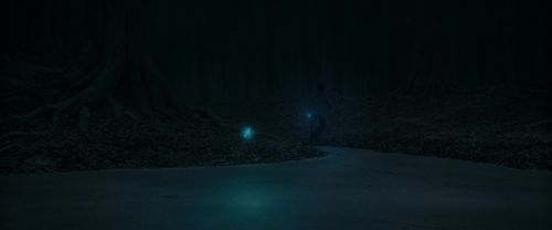 RdM1-Potterish9849.jpg