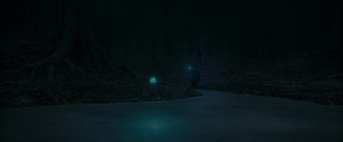 RdM1-Potterish9851.jpg