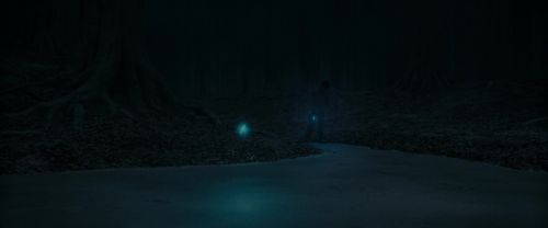 RdM1-Potterish9854.jpg