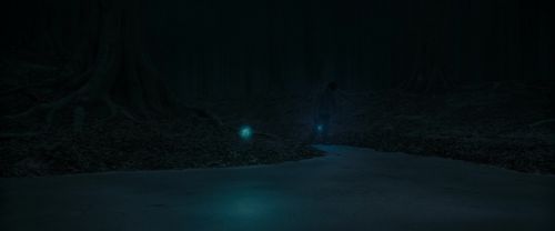 RdM1-Potterish9855.jpg