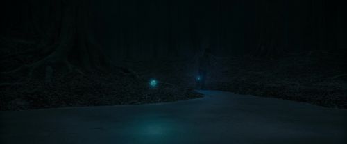 RdM1-Potterish9856.jpg