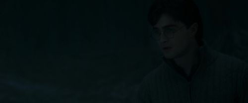 RdM1-Potterish9863.jpg