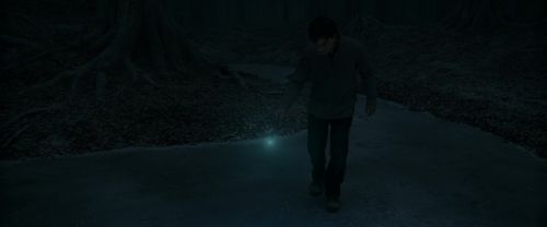 RdM1-Potterish9873.jpg