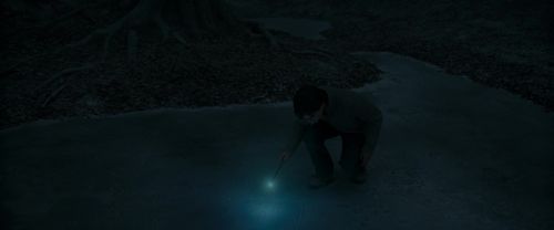 RdM1-Potterish9878.jpg