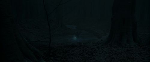 RdM1-Potterish9902.jpg
