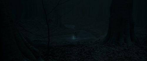 RdM1-Potterish9903.jpg